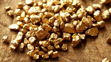 Anthony Doolin, un bărbat din Australia, a găsit o mină de aur în curtea casei sale: ”Aproape că nu mi-a venit să cred!”