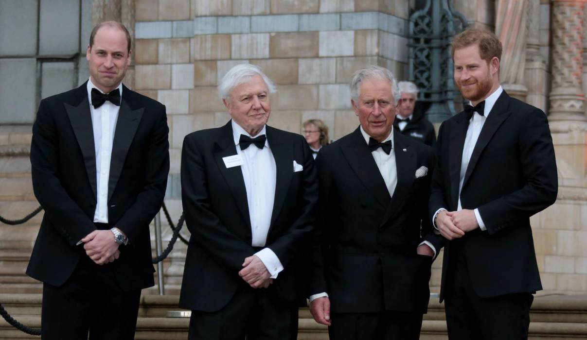 Prințul William l-ar urî pe Harry! Sursa foto: Profimedia