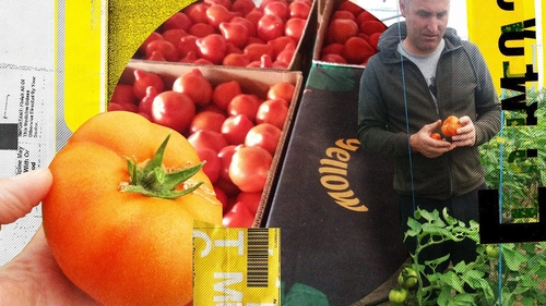 Primele roșii românești se vând la preț de lux. Cu cât pleacă de la producători și cu cât ajung în piețe