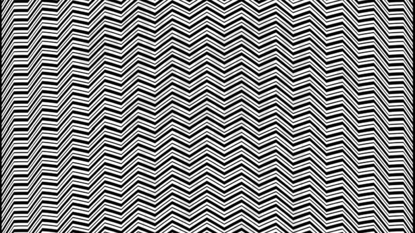 Iluzie optică virală | Ce animal vezi în această fotografie?