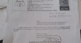 Galerie foto - poza 4