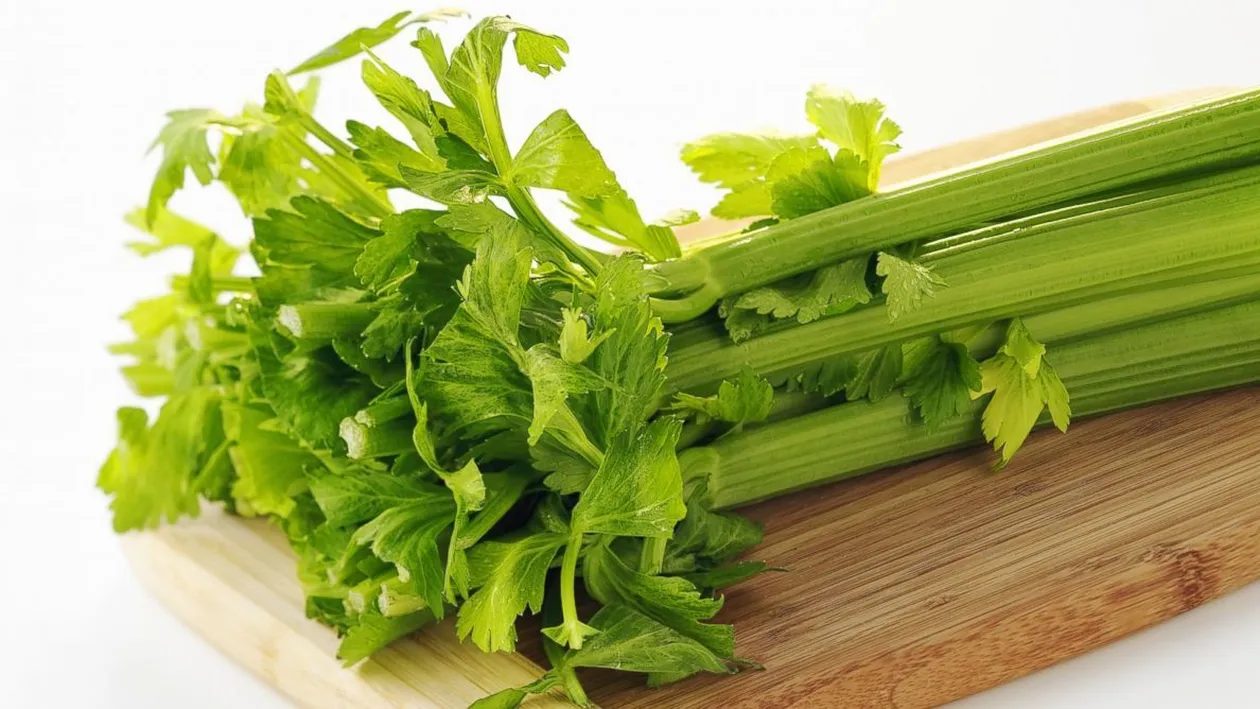 La ce ajută ţelina. Luptă împotriva hipertensiunii, a ulcerelor, a bolilor hepatice, dar şi a cancerului