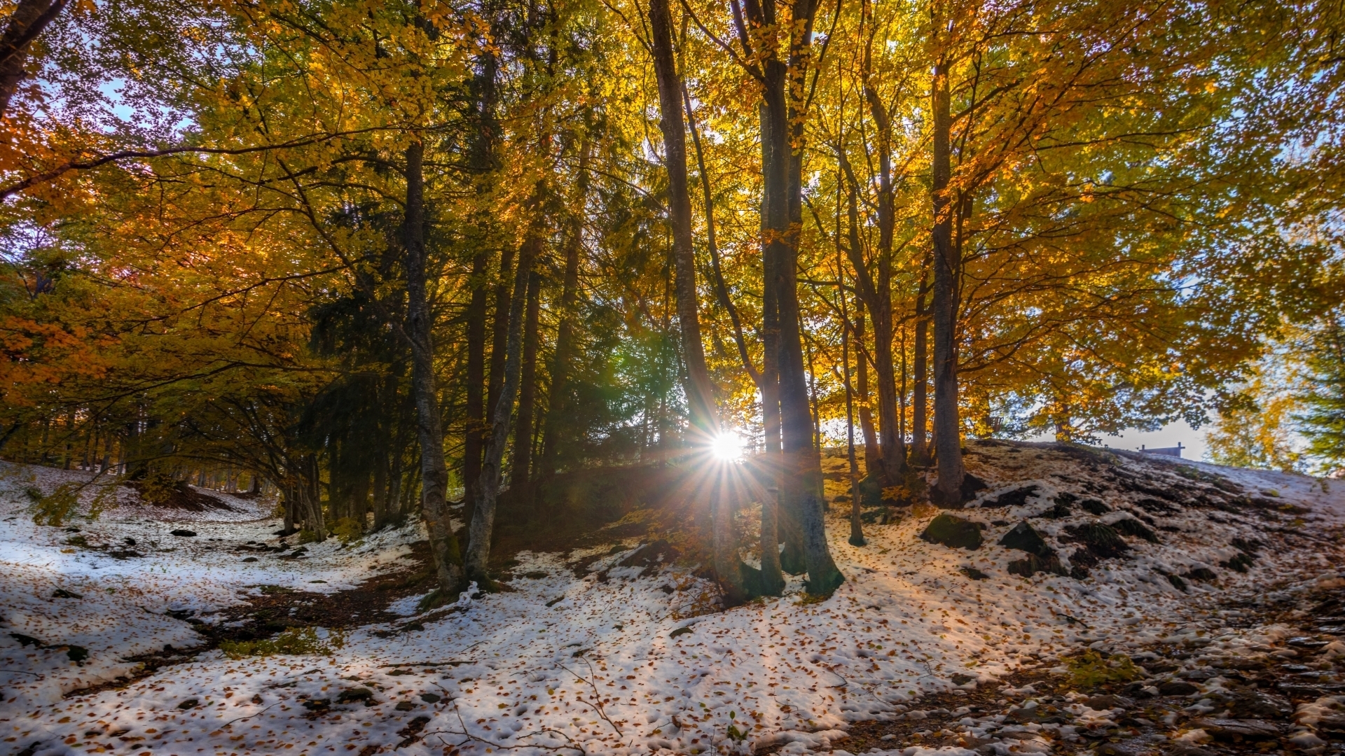 PROGNOZA METEO 30 IANUARIE: Vreme anormal de caldă! În Bucureşti vor fi 12 grade 