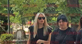 Galerie foto - poza 2