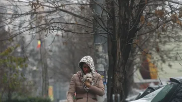 A crezut ca n-o va vedea nimeni! Pe covorul rosu e mereu impecabila, dar paparazzii au filmat-o imbracata ca o florareasa