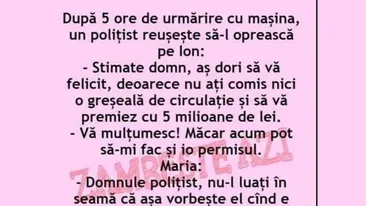 BANC | După 5 ore de urmărire cu mașina, un polițist reușește să-l oprească pe Ion