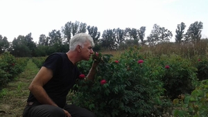 Au făcut afacere cu trandafiri, după reţeta bunicii. Povestea de succes a unui fost poliţist din Piatra Olt şi a soţiei sale