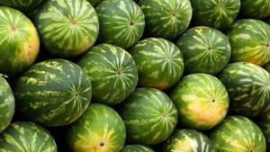 La ce preț se vinde un kilogram de pepene verde, în piețele românești. Cât scoți din buzunar pentru fructul-vedetă al verii