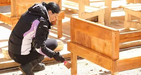 Galerie foto - poza 4