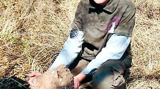 A gasit oameni de acum doua milioane de ani