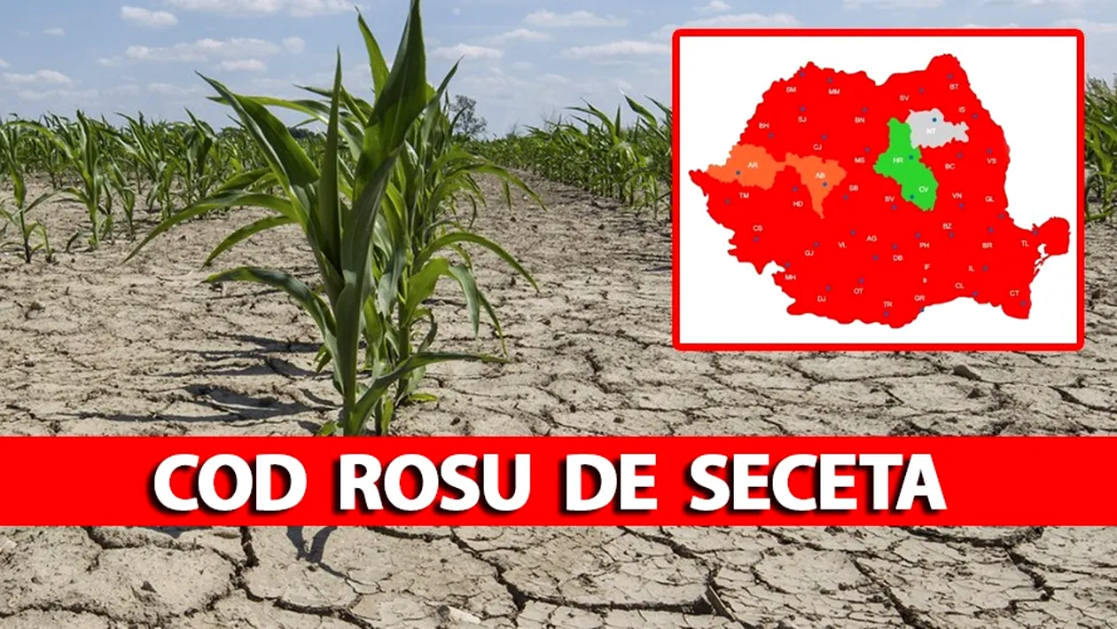 Cod roșu de secetă în România! ANM anunță caniculă severă și fenomene extreme