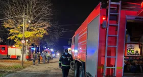 Galerie foto - poza 3