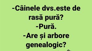BANCUL ZILEI | "Câinele dumneavoastră este de rasă pură?"