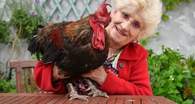 Galerie foto - poza 1