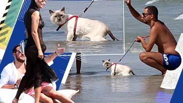 Oana Zăvoranu și-a scos pisicuța pe plaja din Mamaia
