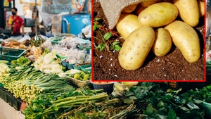 Prețuri supermarket VS piață. Cât a ajuns să coste un kilogram de cartofi la tarabă sau în magazin