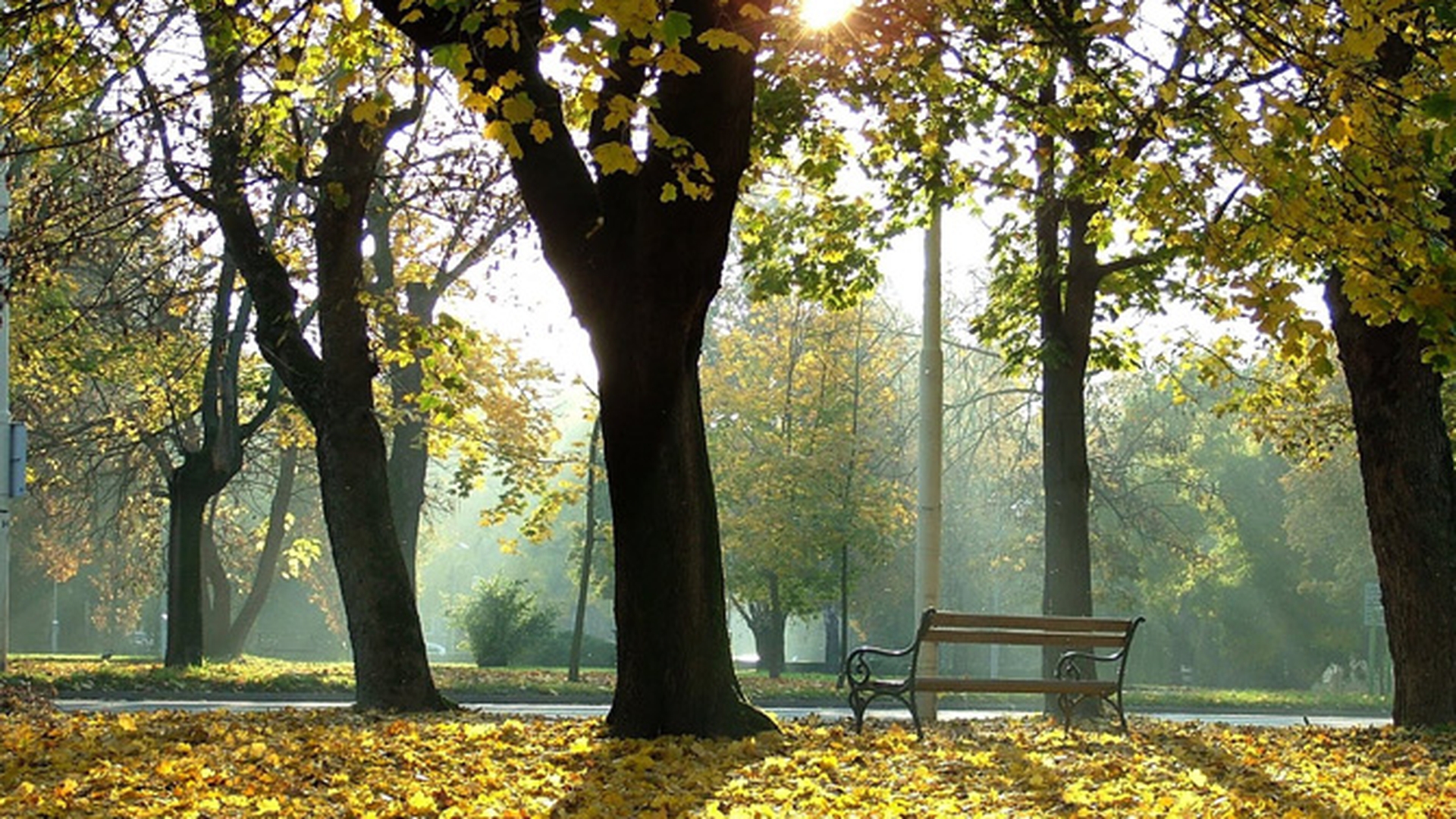 Vremea ne rasfata cu un weekend insorit. Vezi cum vor evolua totusi temperaturile si daca va ploua in urmatoarea perioada