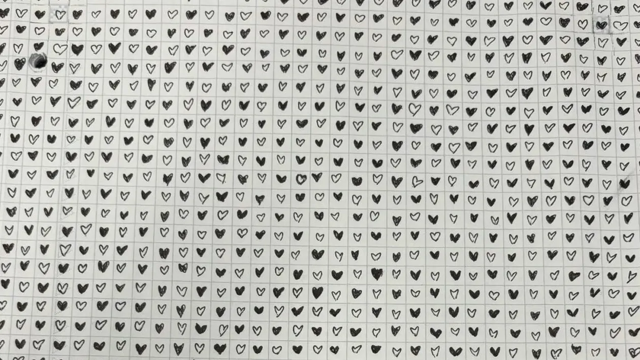 Test IQ | Numai cei cu ochi de vultur găsesc inima întoarsă din imagine, în 20 de secunde!