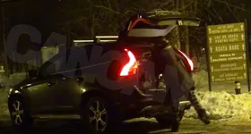 Galerie foto - poza 3