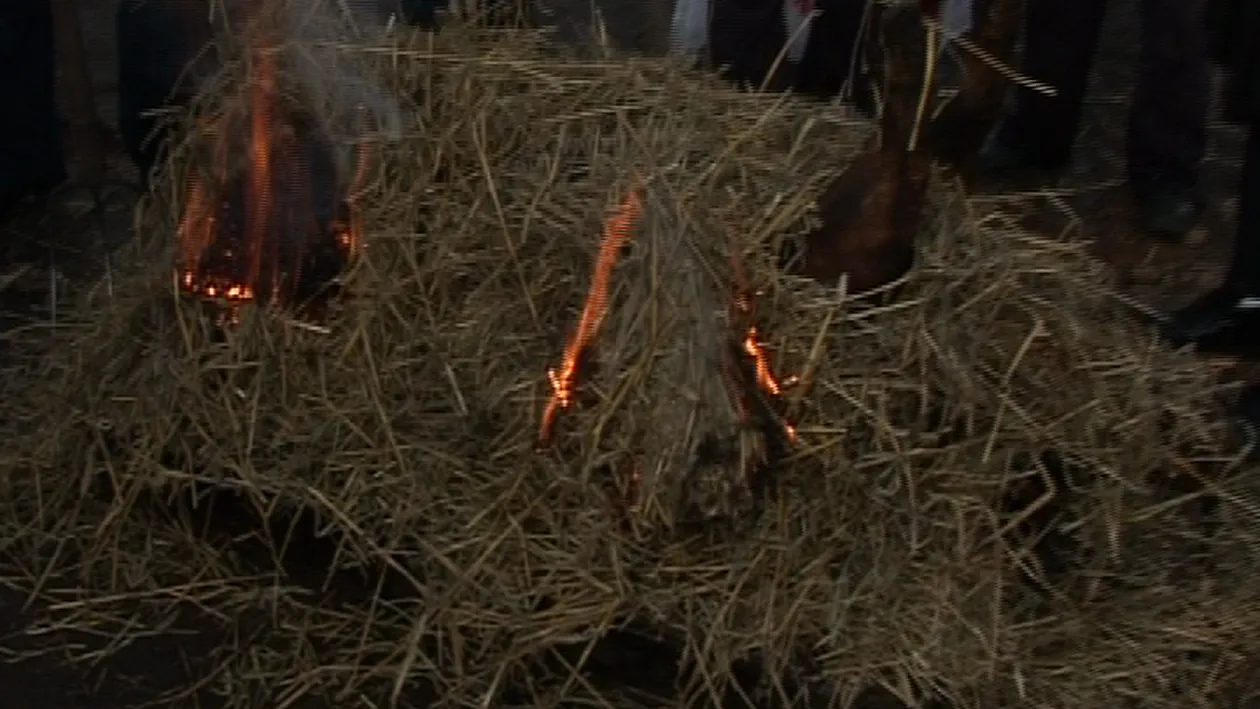 A taiat porcul dar n-a putut sa-i manance pomana! Bianca se tavaleste in chinuri ca nu poate sa se infrupte din carnea de porc.