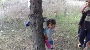 Vezi disperarea din ochii lui? Un puradel este agatat in pom de rudele mai mari si fac caterinca de el - Imaginea care te va enerva