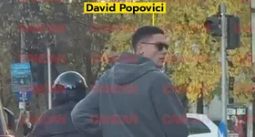 Galerie foto - poza 2