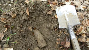 Alertă în Vaslui. Un bărbat a găsit un proiectil neexplodat în timp ce săpa în grădină