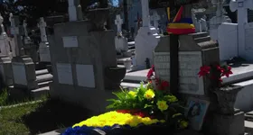 Galerie foto - poza 1