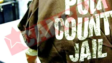 Platesc chirie la puscarie