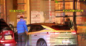 Galerie foto - poza 3