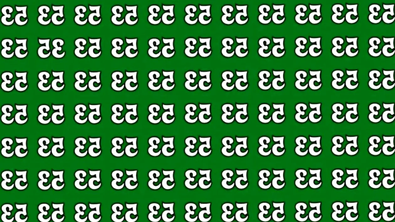 Test de inteligență | Ai IQ-ul lui Einstein dacă găsești numărul inversat '33' în doar 10 secunde