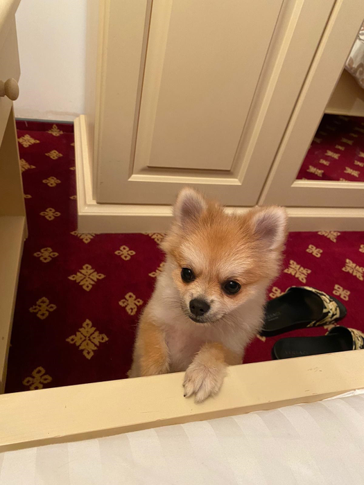 Cătălin Botezatu iubește și se simte mai iubit ca niciodată! Cine i-a schimbat complet viața juratului de la “Bravo, ai stil! Celebrities” | FOTO