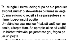 BANCUL ZILEI | Stewardesa și Triunghiul Bermudelor
