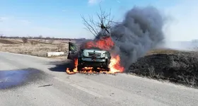 Galerie foto - poza 2