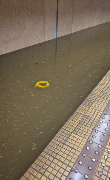 Urmările furtunii din București. Străzi blocate, copaci rupți și stații de metrou închise