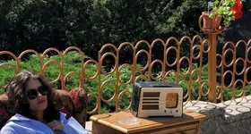 Galerie foto - poza 2