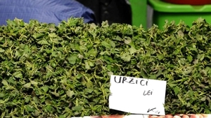 Cât au ajuns să coste urzicile acum, în februarie 2026. Românii cumpără 100-200 de grame