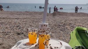 Litoralul românesc a fost luat cu asalt de buburuze. Insectele au invadat plajele