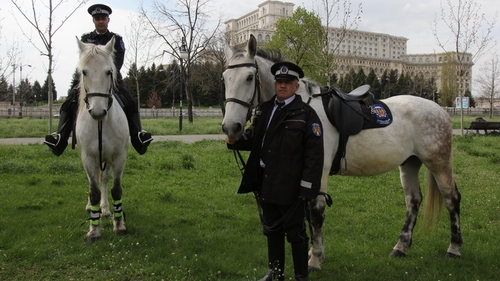 Faceti cunostinta cu Titu, calul pupacios de la Patrula Calare!