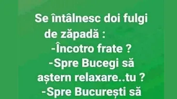 Bancul de vineri | Se întâlnesc doi fulgi de zăpadă: Încotro, frate?
