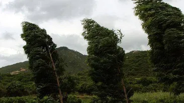 Avertizare de vant puternic in Bucuresti si 12 judete din sudul si sud-estul tarii