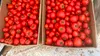 Preț record pentru roșii românești de anul acesta. Cât va costa un kilogram