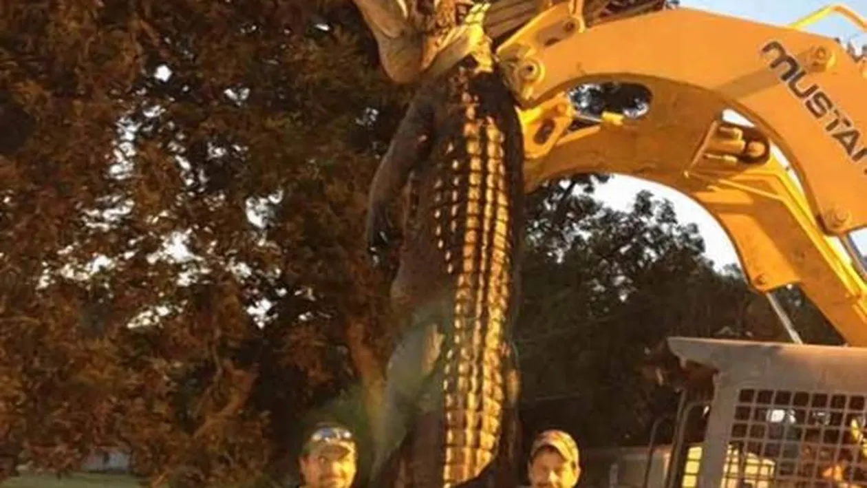 Nu au mai văzut NICODATĂ asa ceva! 3 bărbati au bătut un adevărat record după ce au prins CREATURA ASTA intr-un râu