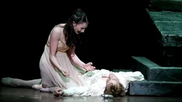 Povestea de dragoste absolut tulburatoare a doi frati romani care s-au casatorit si au facut dragoste, nestiind ca sunt rude!