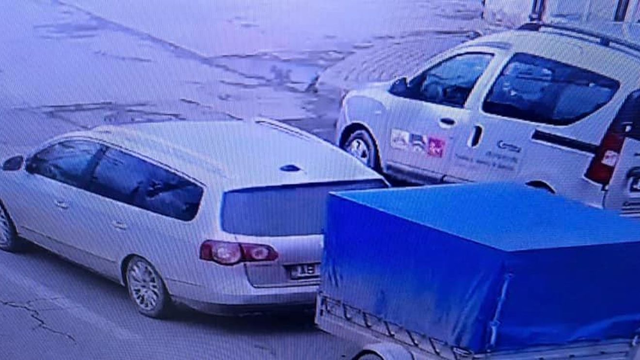 Intervenție de salvare neobișnuită a polițiștilor din Sebeș. Un porc evadat dintr-o remorcă, în trafic, a fost returnat stăpânului