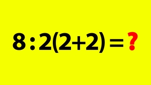 Test de inteligență | Cât face 8 : 2(2+2) = ?