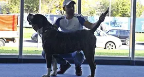 Galerie foto - poza 4