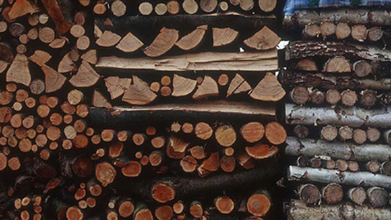 O fetita de patru ani a fost strivita de o stiva de lemne!