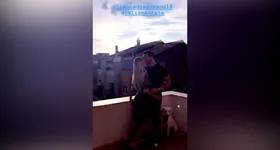 Galerie foto - poza 2