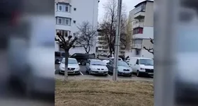 Galerie foto - poza 3